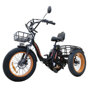 Трехколесный электровелосипед Kugoo Kirin Trike VP-30538243